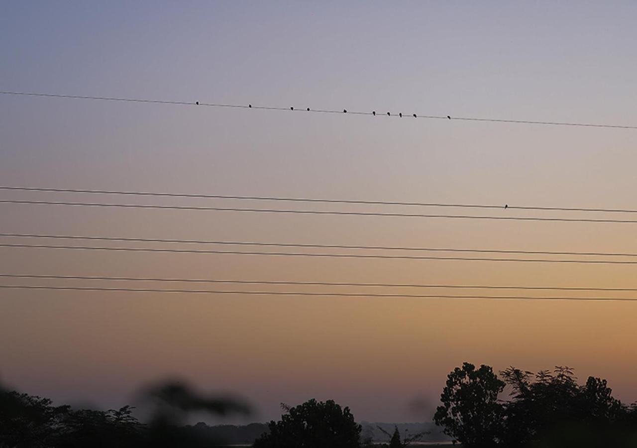Birdsong Leisure Resort Tissamaharama Bagian luar foto