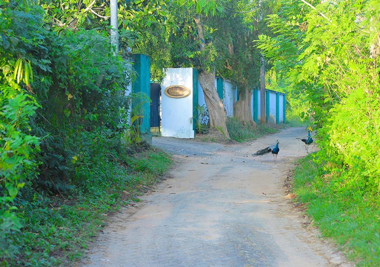 Birdsong Leisure Resort Tissamaharama Bagian luar foto
